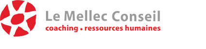 Le Mellec Conseil